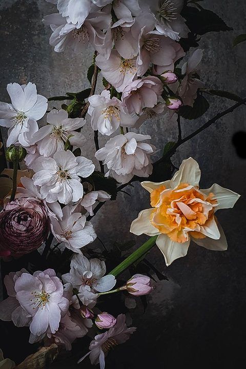 Kirschblüte – Fine-Art-Print (Kirschblüte, gefüllte Narzisse, Ranunkel), 40 × 60 cm, gerahmt